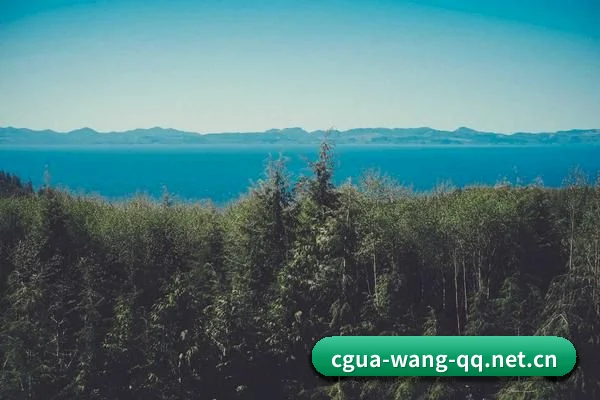智能鉴瓜升级