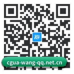 Android 饭圈版 二维码